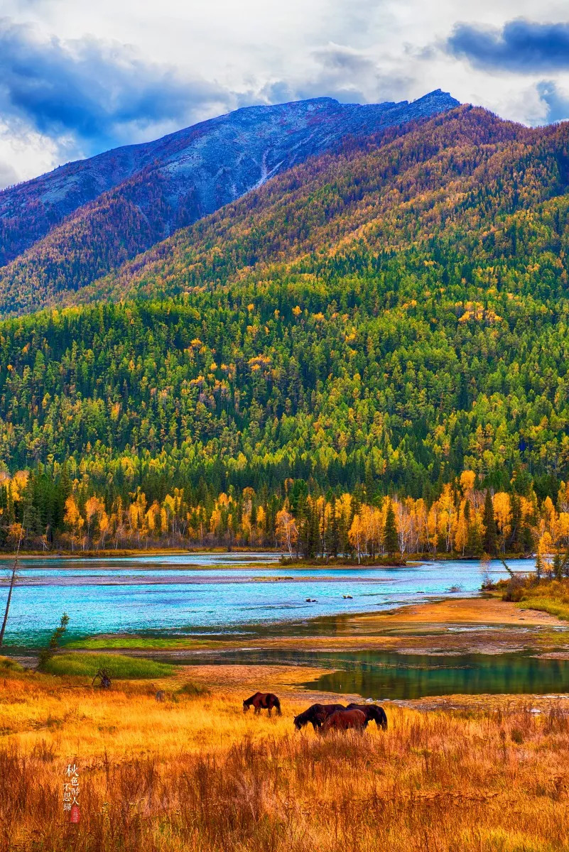 新疆的魅力与风情