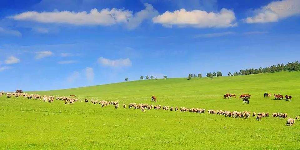 呼伦贝尔,草原之美与风情之旅