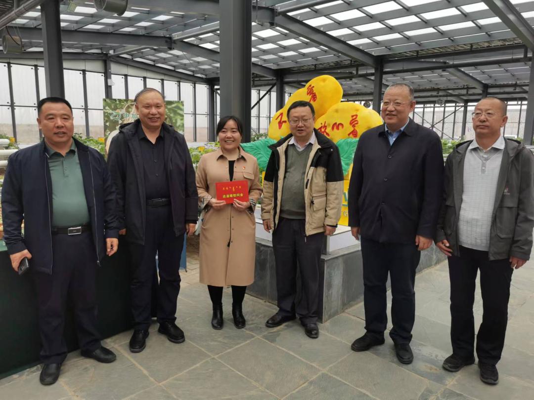 乌兰察布,草原明珠的投资热土与无限商机